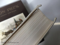 AP-boek.jpg