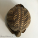 Vintage hatwear — ReFabFun