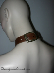 halsband.jpg