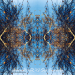 'Vibration' by I-sie